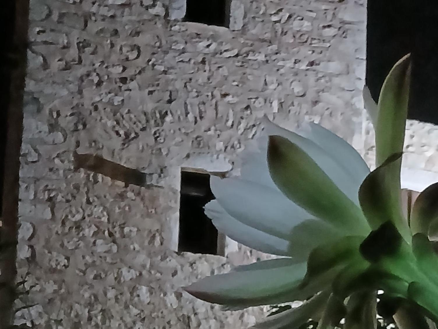 Pandera Areopoli Apartman Kültér fotó