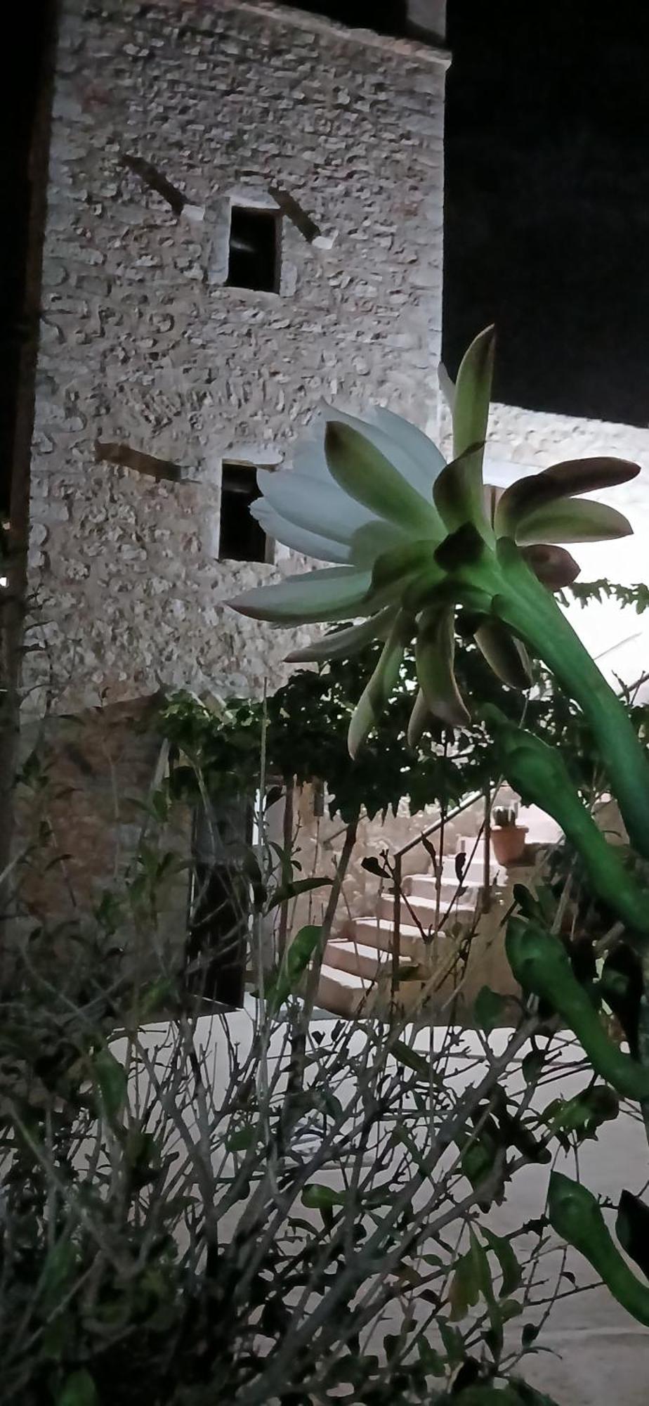 Pandera Areopoli Apartman Kültér fotó